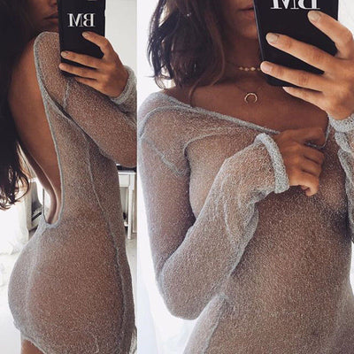 Mesh Top Sheer Mini Dress